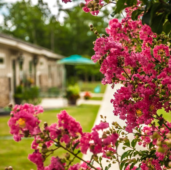 Enjoy all the comforts of home.