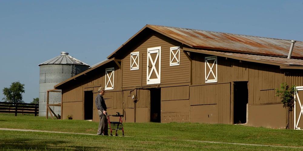 Resident at Barn
